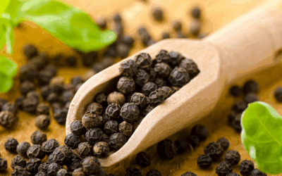 Recette de la sauce au poivre